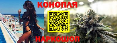 шишки Тверь